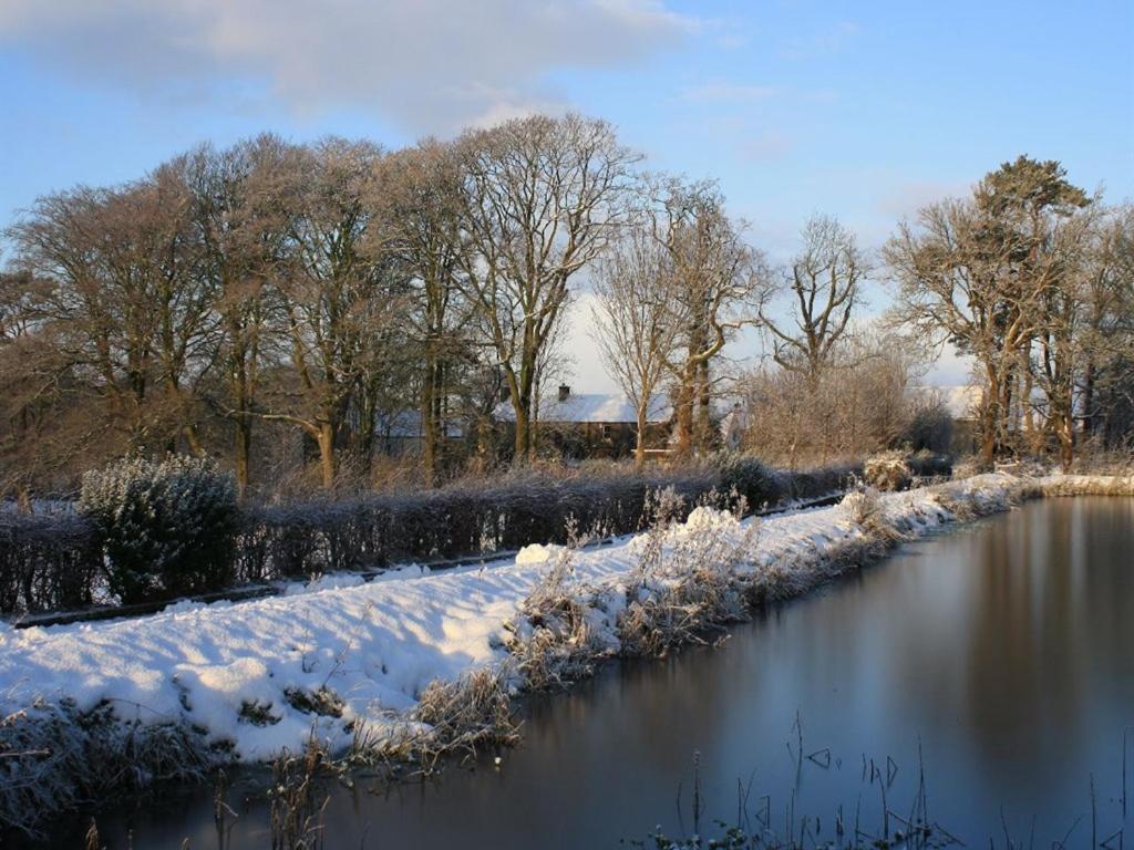 Ballylagan Organic Farm Straid  Exterior foto