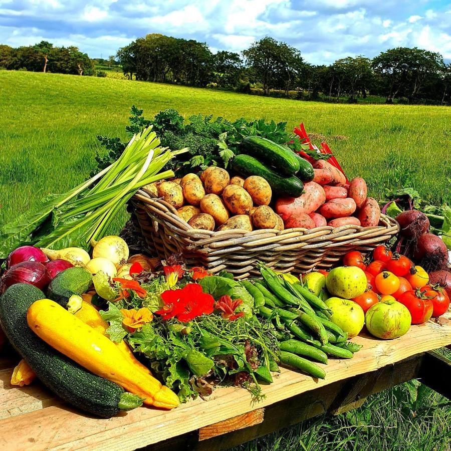 Ballylagan Organic Farm Straid  Exterior foto