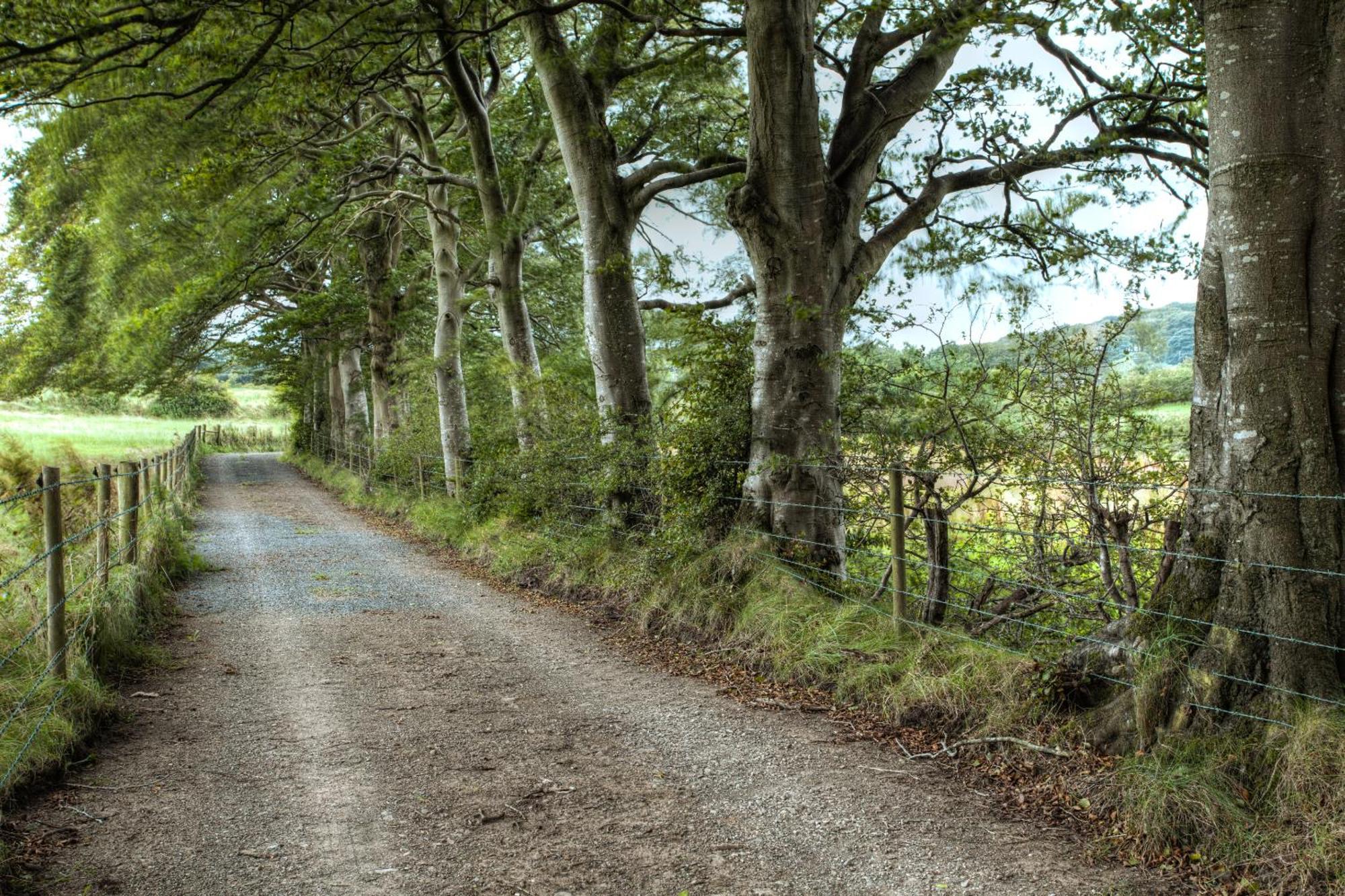 Ballylagan Organic Farm Straid  Zimmer foto