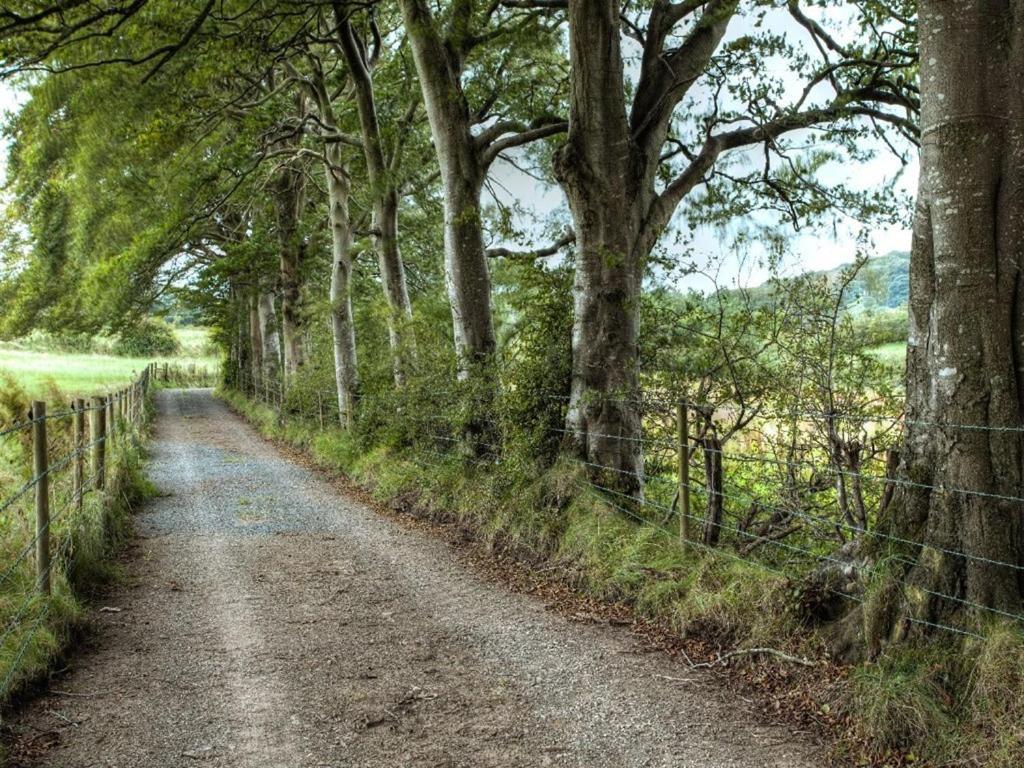 Ballylagan Organic Farm Straid  Exterior foto