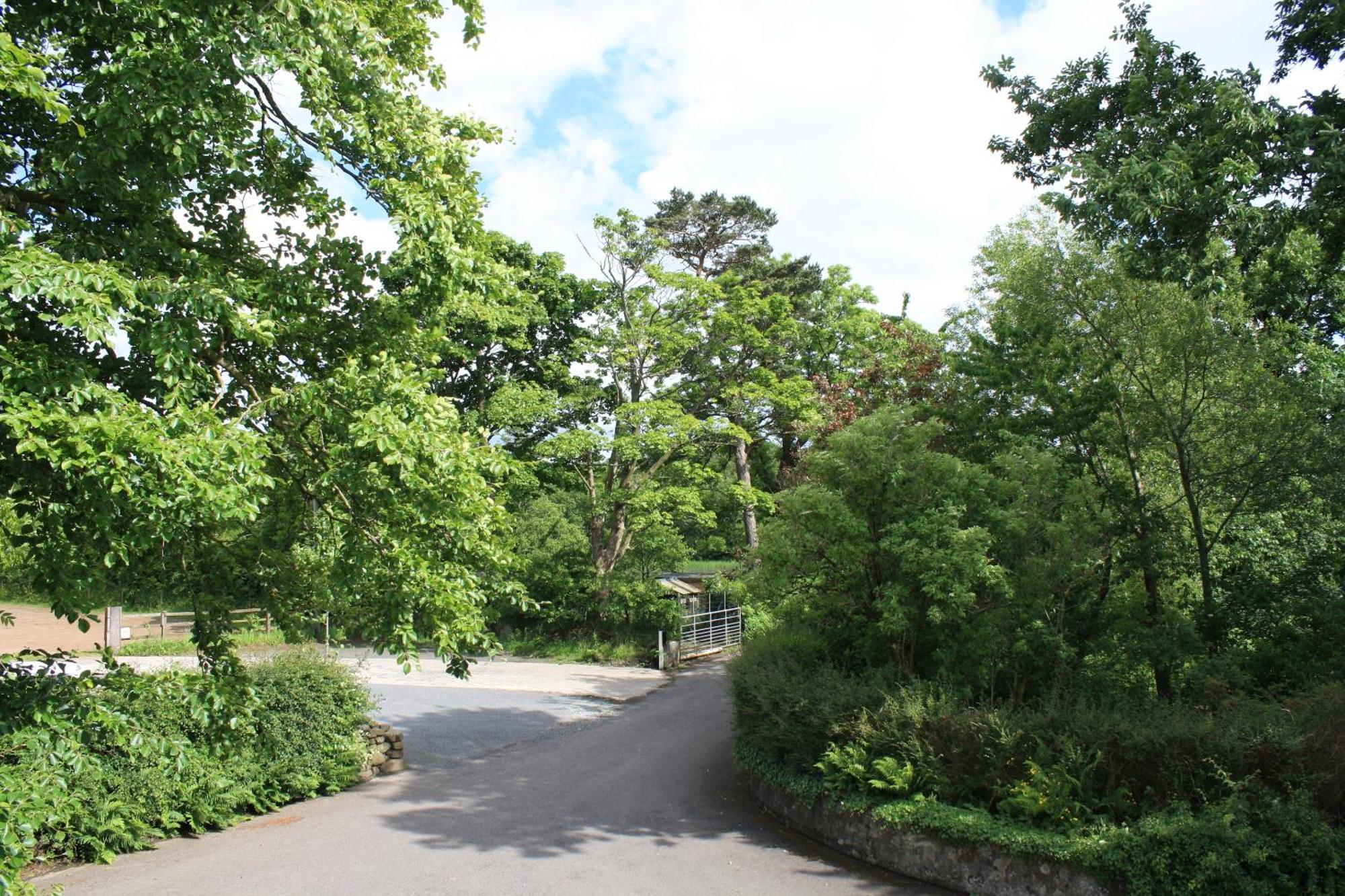 Ballylagan Organic Farm Straid  Exterior foto