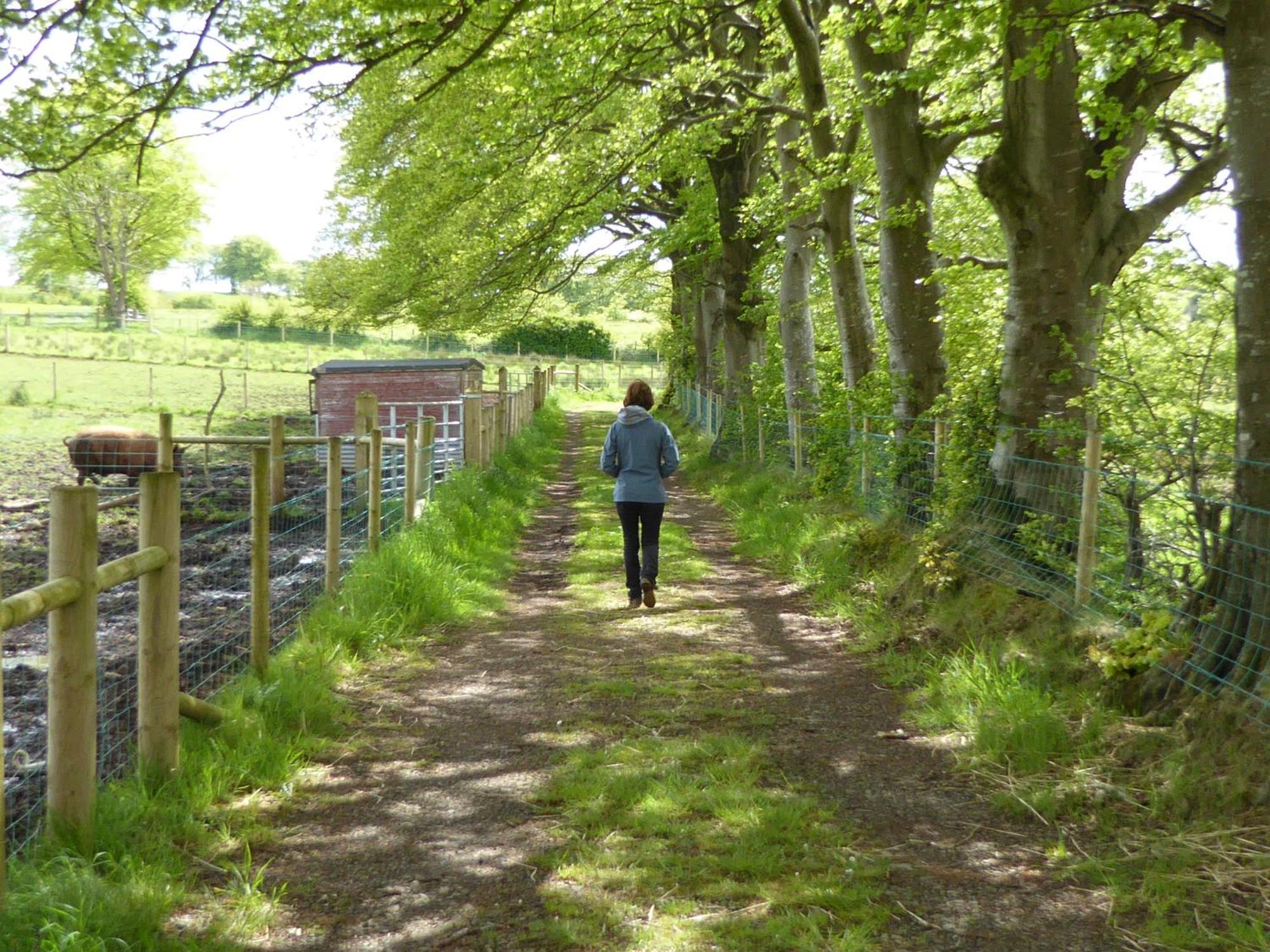 Ballylagan Organic Farm Straid  Zimmer foto
